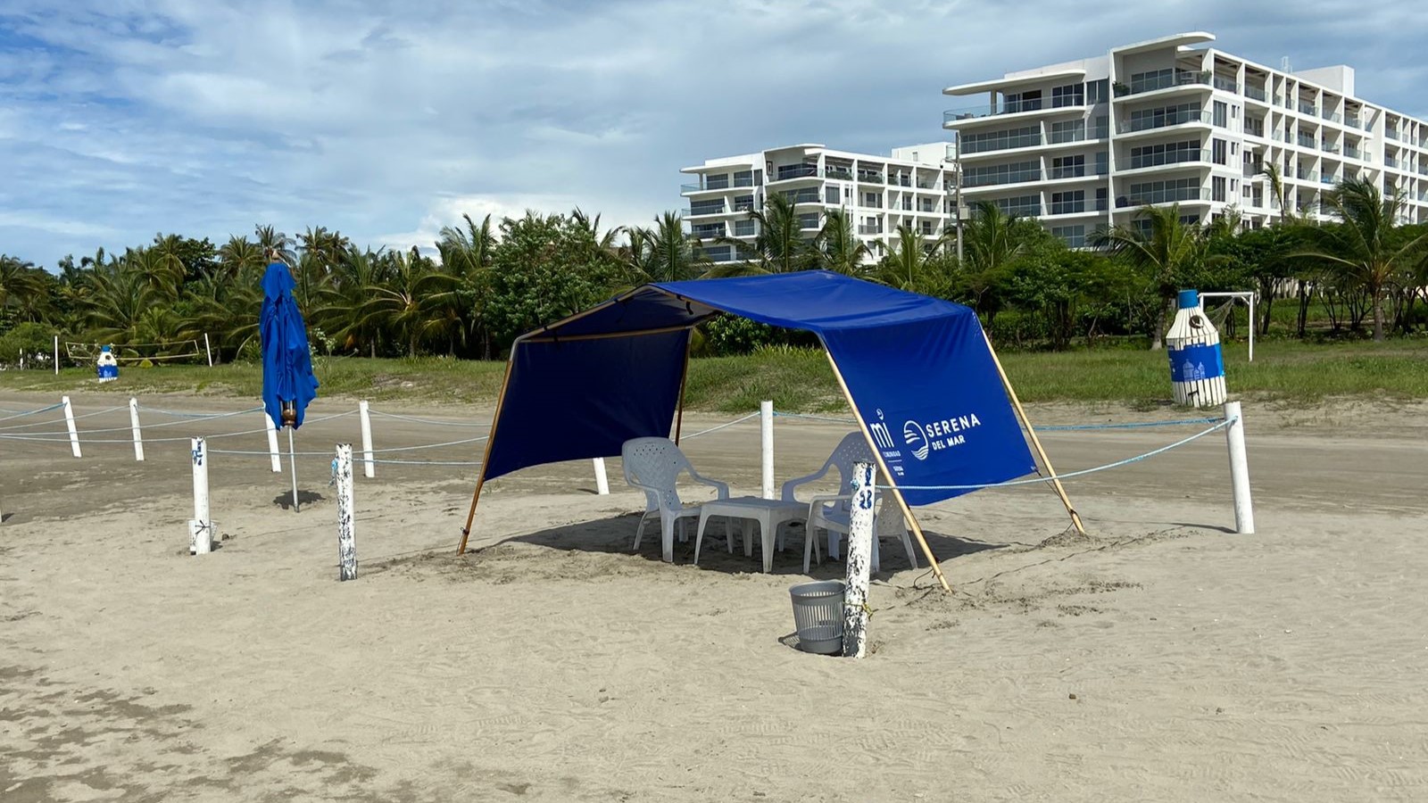 Imagen Carpa Playera de Lujo